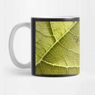 TRANSPORT Mug